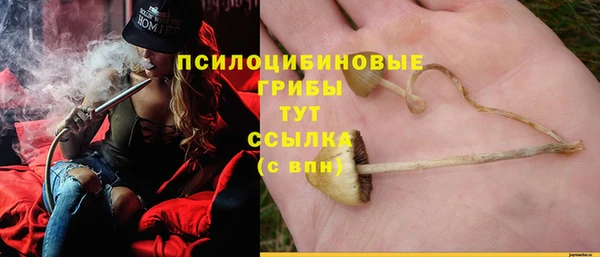 прущая мука Пересвет