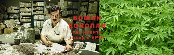 прущая мука Пересвет