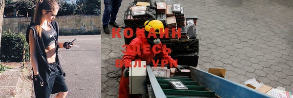 мет Осинники