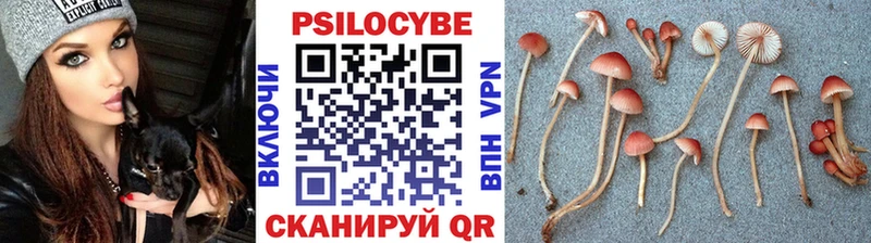 Галлюциногенные грибы прущие грибы  купить наркотик  Абдулино 